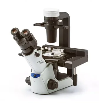 olympus CKX53 laboratorij invertni mikroskop